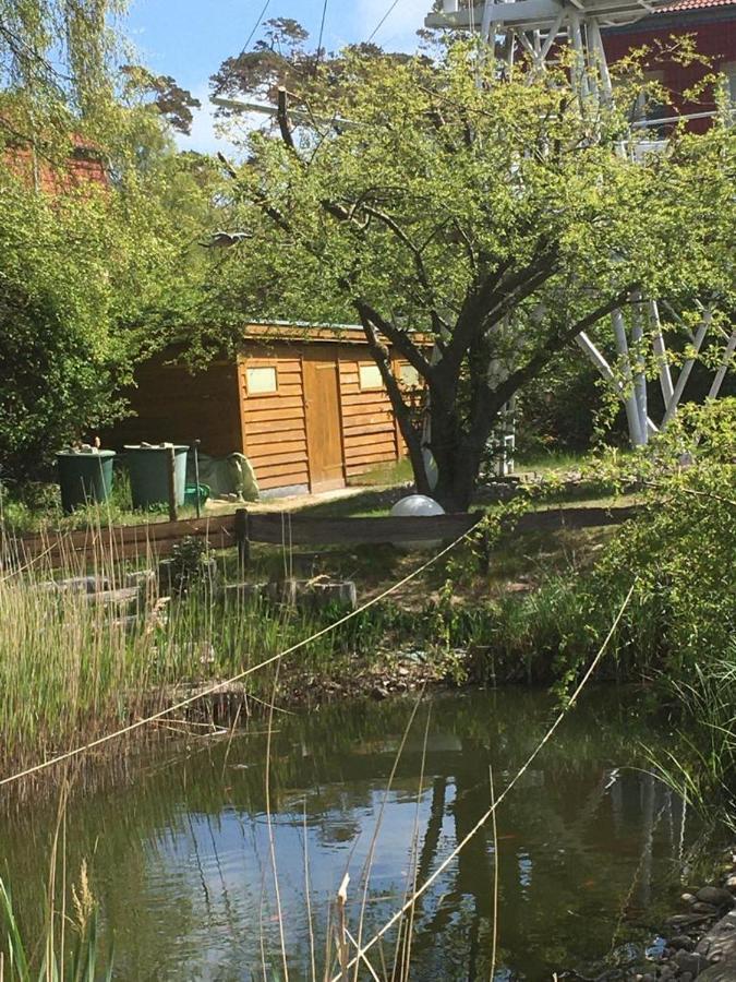 Fewo Schwalbennest Am Meer-Exklusiv-Eigener Strandzugang Kuhlungsborn Bagian luar foto