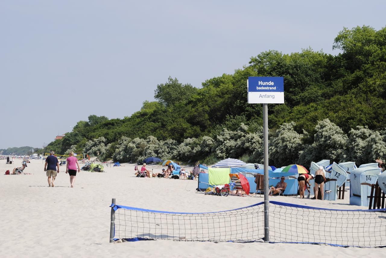 Fewo Schwalbennest Am Meer-Exklusiv-Eigener Strandzugang Kuhlungsborn Bagian luar foto